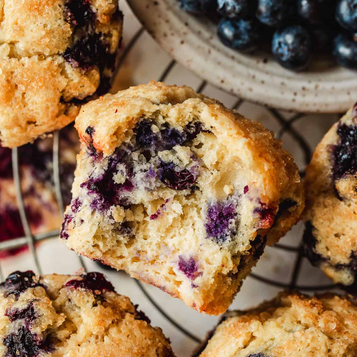 Fluffy Small Batch Blueberry Muffins: Whole Egg & No Sour Cream